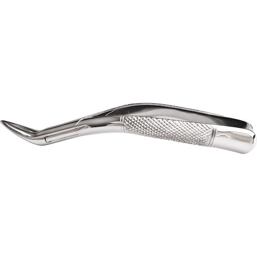 9552330 Stainless Steel Extraction Forceps #69, Curved Handle