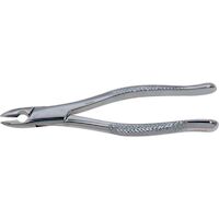 9552310 Stainless Steel Extraction Forceps #1, Straight Handle