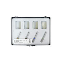 9502820 CF Carbon Fiber and GF Glass Fiber Glass Fiber Post Assorted Kit, 23-100580