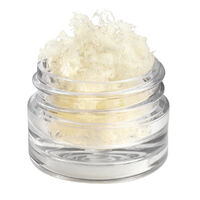 OSSIFY® DBM Cortical Fiber Bone Graft 1.0cc thumbnail 2