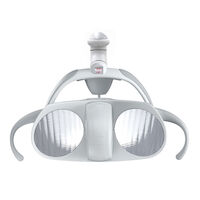 5252240 MAIA LED Light MAIA Curing Filter, P024681