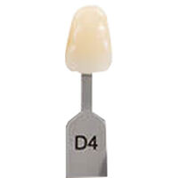 5252440 VITA Classical A1-D4 Shade Guide Vita Classical Shade Tab D4, G168CN