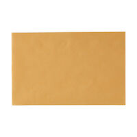 4952270 Monoart Tray Paper Orange Tray Paper, 250/Box, 205007