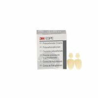 8450470 Polycarbonate Crowns Lateral, Upper Right, #20, 5/Box, 20
