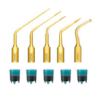 Endo Revision Piezo Tip 5/St thumbnail 2