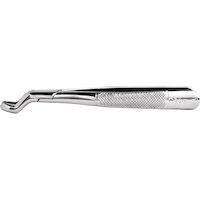 9513590 Stainless Steel Extraction Forceps #53R