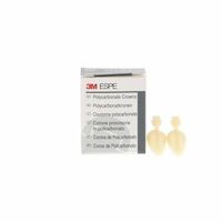 8450621 Polycarbonate Crowns Cuspid, Upper Right, #301, 5/Box, 301