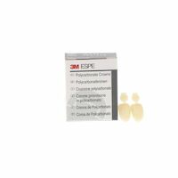 8450471 Polycarbonate Crowns Lateral, Upper Right, #21, 5/Box, 21
