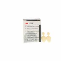 8450481 Polycarbonate Crowns Cuspid, Upper Right, #31, 5/Box, 31