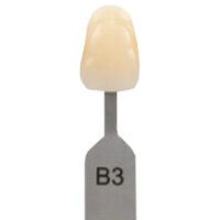 5252432 VITA Classical A1-D4 Shade Guide VITA Classical Shade Tab B3, G160CN