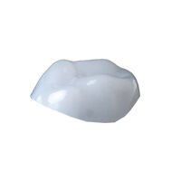 5256862 Ceramir Pediatric Crowns 51/E, Extra Large, 805103, 1/Pkg