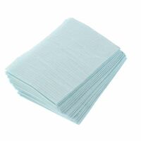 3410962 Patient Towels Economy, 2-Ply Paper, 1-Ply Poly, Blue, 500/Box