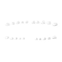 5257472 Ceramir Pediatric Crowns Start Kit, Small, 805181