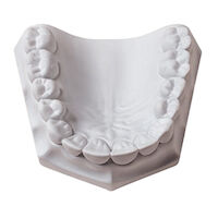 5251692 Orthodontic Plaster Orthodontic Plaster, 33 lb., White, 330088