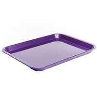 5254203 B-Lok Flat Trays Plum, Flat Tray, 20Z401E