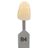 5252433 VITA Classical A1-D4 Shade Guide VITA Classical Shade Tab B4, G161CN