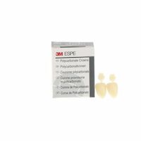 8450463 Polycarbonate Crowns Central, Upper Right, #13, 5/Box, 13