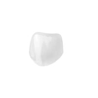 5257473 Ceramir Pediatric Crowns 61/F, Small, 805120, 2/Pkg