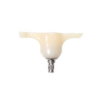 8700034 GCL Internal Hex 4.1 Upper Canine 6, 11, KG13101126