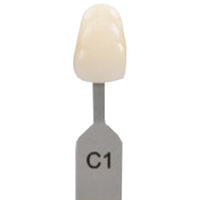 5252434 VITA Classical A1-D4 Shade Guide VITA Classical Shade Tab C1, G162CN