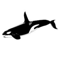 090-6634  Natural Latex, Light, 5/16", 50 Pkg./Box product image