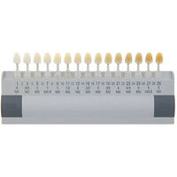 5257734 VITA Bleachedguide 3D-Master 5257734, VITA Bleachedguide 3D-Master, B361