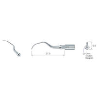 9543284 Varios Perio Root Planing Tips P1, Z217404