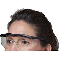 9902784 ProVision Bifocal Safety Eyewear 1.0 Diopter, 3701A