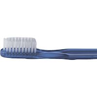 9521615 Adult Multi-Tuft Toothbrush Multi-Tuft Soft Assorted Trans., 72/Pkg.