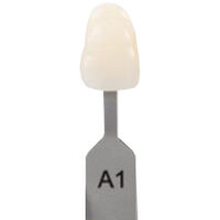 5252425 VITA Classical A1-D4 Shade Guide VITA Classical Shade Tab A1, G153CN