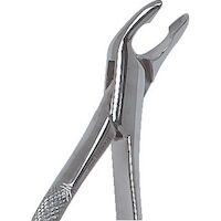 9513755 Stainless Steel Extraction Forceps #151A