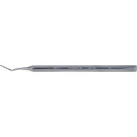 5257206 Root Tip Picks 5257206, West Apical, #2