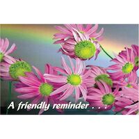 3315116 A Friendly Reminder Postcard Flowers, Postcard, 250/Pkg.
