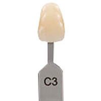5252436 VITA Classical A1-D4 Shade Guide VITA Classical Shade Tab C3, G164CN