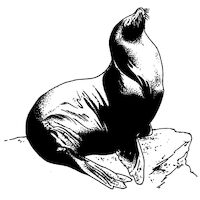 0903546 Creatures of the Sea Elastics Natural Latex, Heavy, 1/4", Sea Lion, 50 Pkg./Box