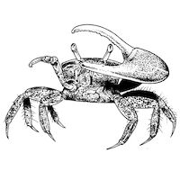 090-6646  Natural Latex, Heavy, 3/8", 50 Pkg./Box product image