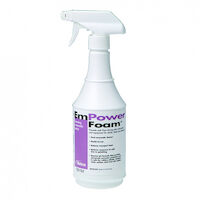 9543746 EmPower Foam Spray, 24 oz, 10-4224