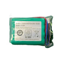 5256296 Root ZX3 Battery Pack, 244000799