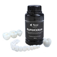 5258518 Rodin RapidCeram Shade B1, 300g Bottle, 24060