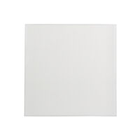 Mouthguard Resin Sheet, 0.160, 4 mm, White, 25/Pk thumbnail 5