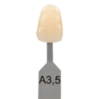 5252428 VITA Classical A1-D4 Shade Guide VITA Classical Shade Tab A3.5, G156CN