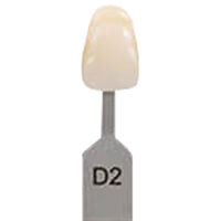 5252438 VITA Classical A1-D4 Shade Guide VITA Classical Shade Tab D2, G166CN