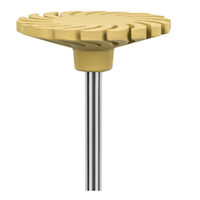 CeraGlaze Spiral Polisher Ea thumbnail 2