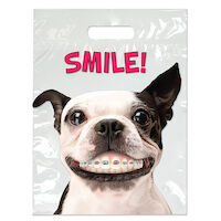 3310078 Specialty Bags 250 Count Dog with Braces, 9" x 13", 250/Pkg.