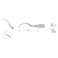 9543288 Varios Perio Root Planing Tips P10, Sharp Edge, Z217410