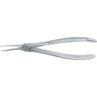 8436509 European Style Extraction Forceps 49, Root, Serrated, FX49