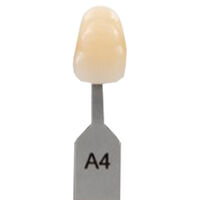 5252429 VITA Classical A1-D4 Shade Guide VITA Classical Shade Tab A4, G157CN