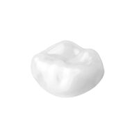 5257529 Ceramir Pediatric Crowns 85/T, Small, 805176, 1/Pkg